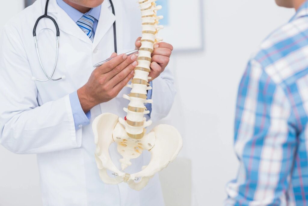 chiropractor pointing our back on skeleton